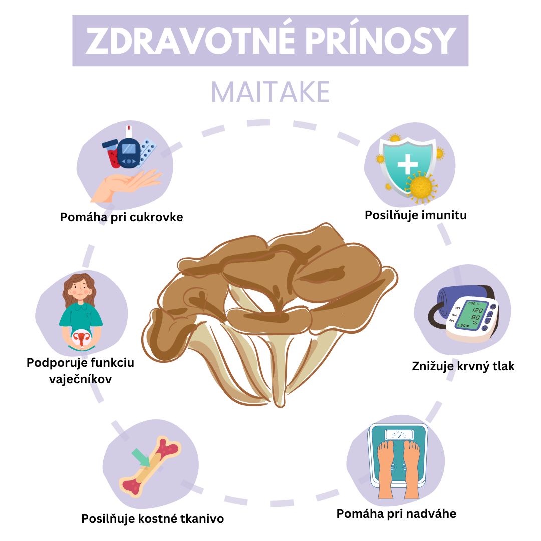 Maitake zdravotné prínosy